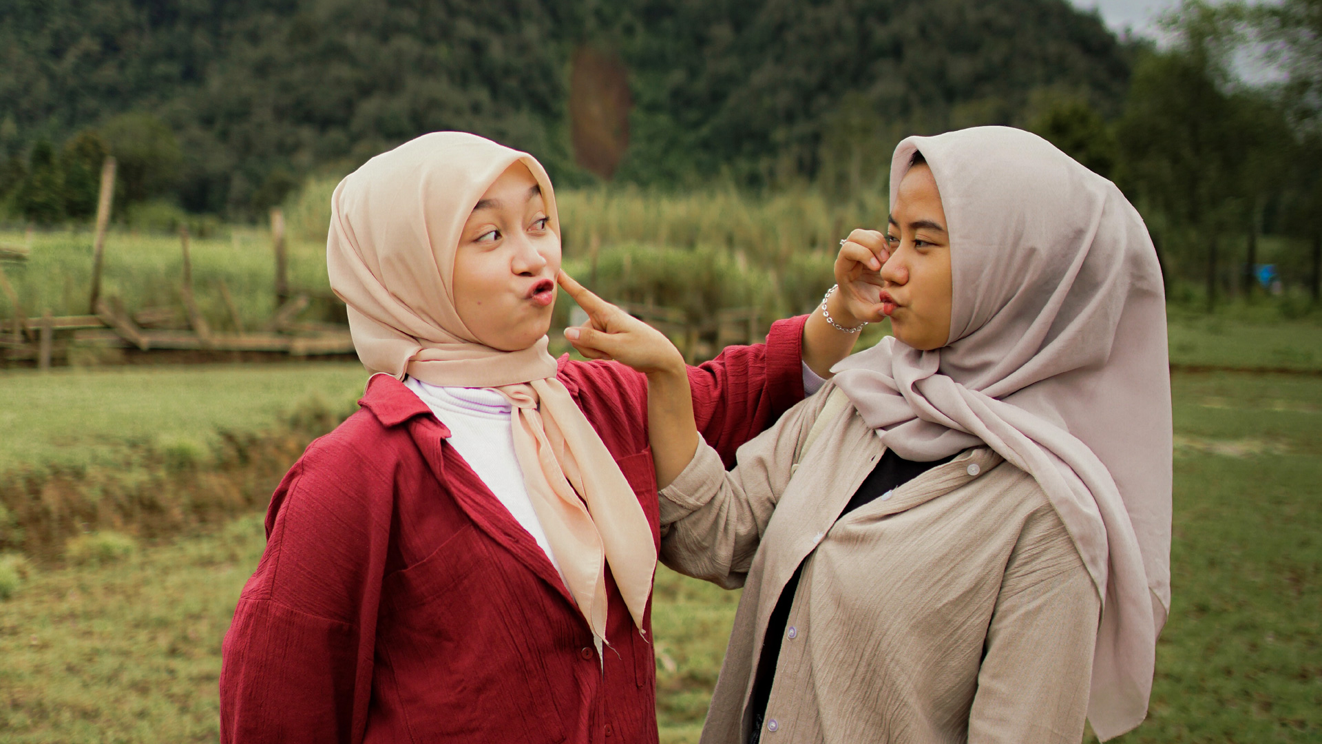 Comparing disciplines - OB vs OD